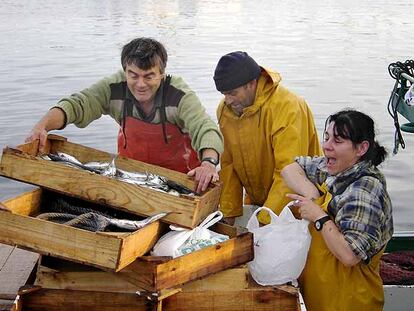 Beatriz Amaral, marinera titulada, junto a dos compañeros a bordo del 'Halcón', cerquero de Portonovo.