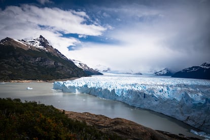 LA PATAGONIA. Este ecosistema compartido por Argentina y Chile y dividido por los Andes cuenta con estepas secas y bosques húmedos en montañas. Son un importante reservorio mundial para la mitigación de las emisiones de dióxido de carbono. 