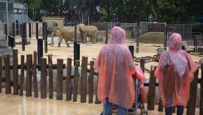 Visitantes en el zoo de Barcelona.