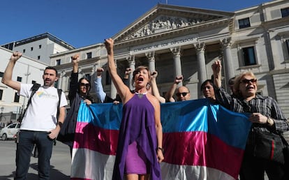 Mar Cambrollé y varios activistas, ante el Congreso este miércoles.