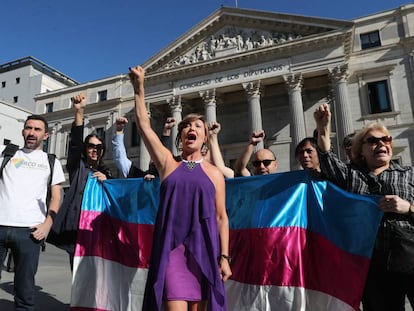 Mar Cambrollé y varios activistas, ante el Congreso este miércoles.