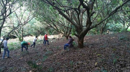 Miembros del colectivo Familias Unidas en labores de búsqueda en Nayarit.