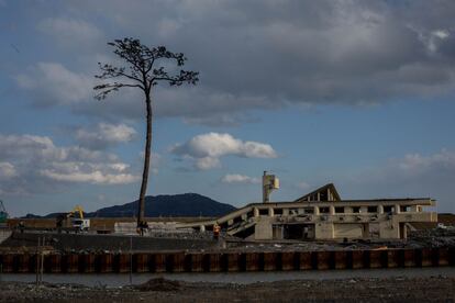 El único árbol que sobrevivió al tsunami de 2011 en Rikuzentakata (Japón). En su tronco hay una marca que indica la altura que alcanzó el mar aquel 11 de marzo: 18 metros.