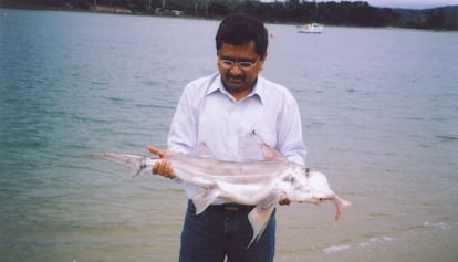Un hombre sujeta un ejemplar de tiburón-elefante