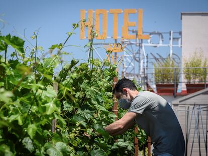 Un jardinero realiza labores de mantenimiento en el Hotel Wellington, en Madrid.