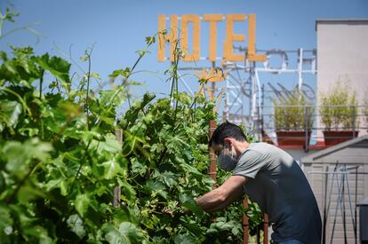 Un jardinero realiza labores de mantenimiento en el Hotel Wellington, en Madrid.