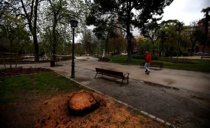 Un árbol talado en el parque del Retiro, el pasado abril.