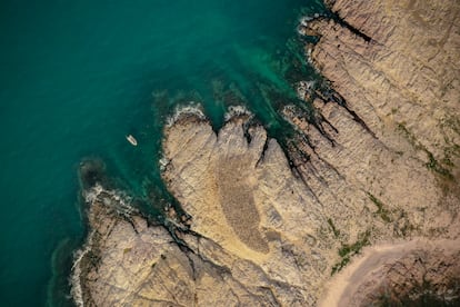 El territorio donde se localiza Patagonia Azul tiene una geografía costera muy accidentada ideal para la reproducción de muchas especies marinas.