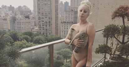 Lady Gaga posa con sus reci&eacute;n adquiridos &#039;armadillos&#039;.