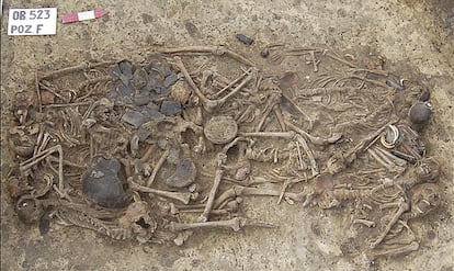 Fosa común en Koszyce, en el sur de Polonia, que contiene 15 esqueletos de personas asesinadas hace unos 5.000 años.