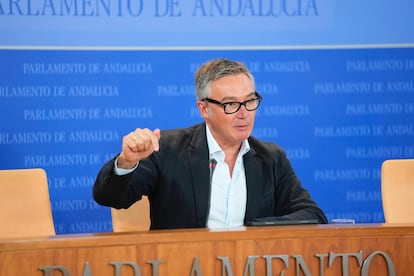 El portavoz de Vox en el Parlamento andaluz, Manuel Gavira, este miércoles.