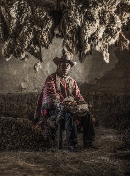 Imagen ganadora. Guardián de la papa. Perú.

