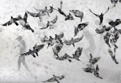 Un hombre se moja mientras unas palomas vuelan, en la temporada del monzón en la costa del Mar Arábigo, en Bombay (India).