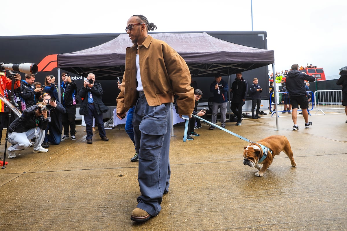 Lewis Hamilton se despide de ‘Roscoe’, su perro con 1,4 millones de ...