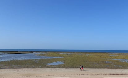 Los corrales de Rota, en Cádiz.