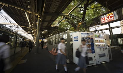 En la estación de tren de Kayashima, en Japón, se conserva este árbol de 700 años.