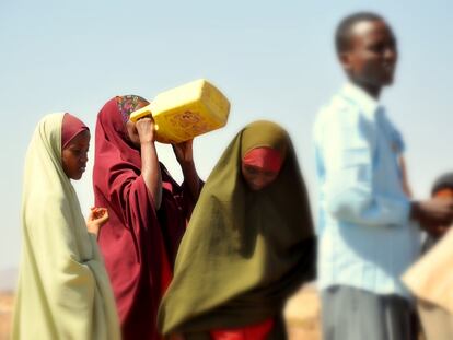 ¿Y cuando vuelva a llover en Somalia?