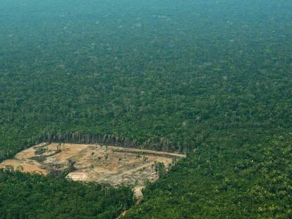 Área desforestada en el Amazonas, en septiembre de 2017.