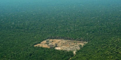 Área desforestada en el Amazonas, en septiembre de 2017.