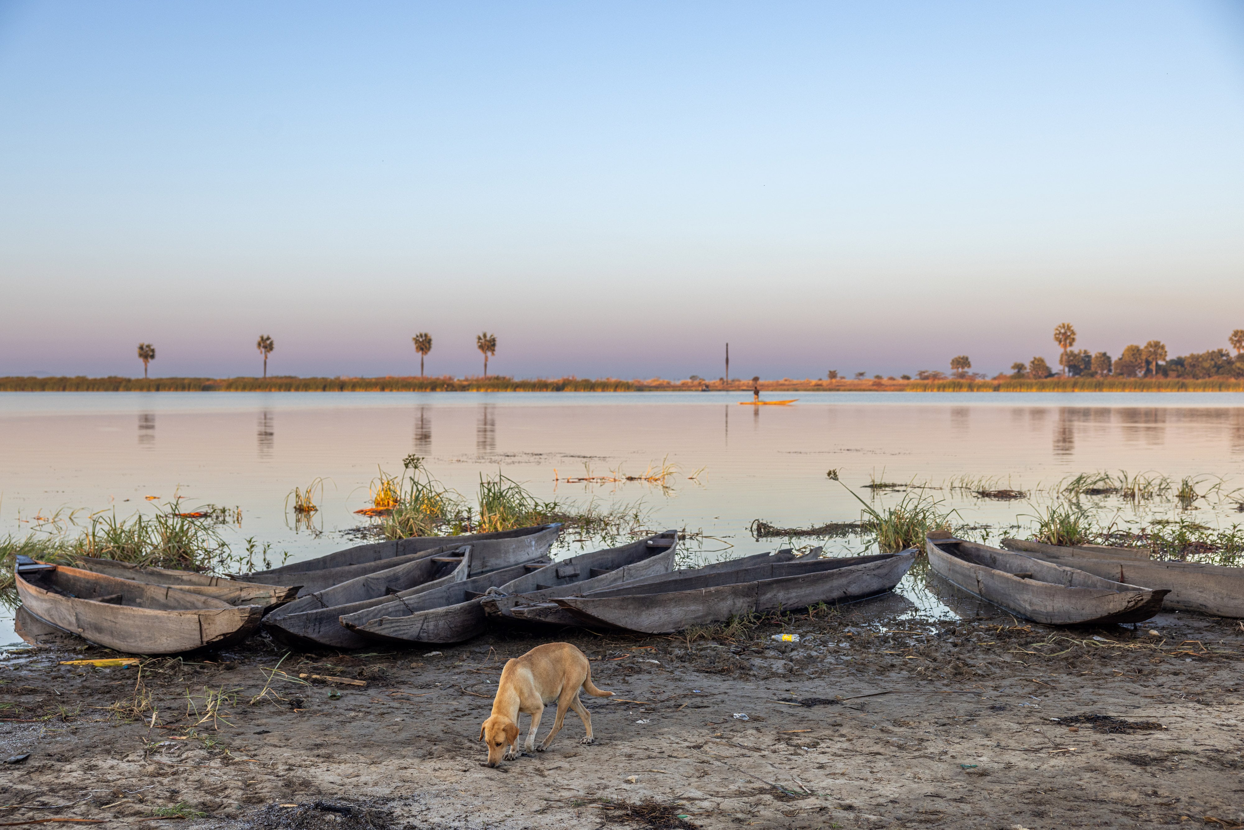 Parásitos, estigma y cáncer cervical: Un triángulo infernal para las mujeres de Zambia