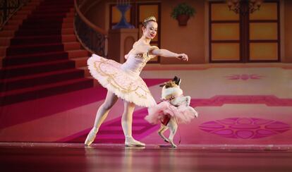 Una bailarina y un perro bailan la canción 'Sugar Plum Fairy' en el ballet El Cascanueces, en Birmingham, Alabama (EE.UU).