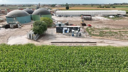 Los residuos agroganaderos alimentarán la planta de biogás de Vila-sana (Lleida).