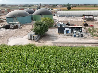 Los residuos agroganaderos alimentarán la planta de biogás de Vila-sana (Lleida).