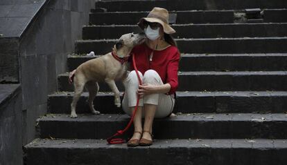 Una mujer, con mascarilla, junto a su perro, en Ciudad de México. 