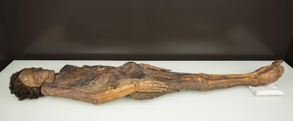 Momia guanche