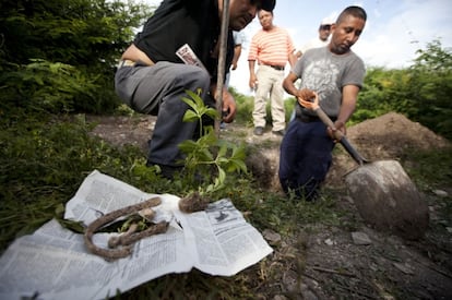 Excavaci&oacute;n en Iguala en octubre de 2014.