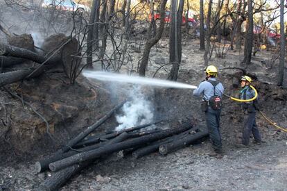 Un petit foc pot originar un incendi forestal.
