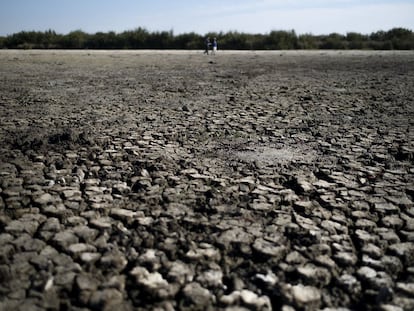 La laguna de Santa Olalla, en pleno Parque Nacional de Doñana, sin agua en el otoño de 2021.