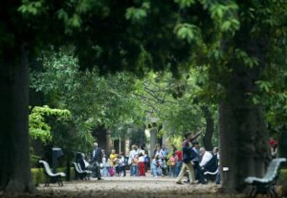 Jardín Botánico de Valencia.