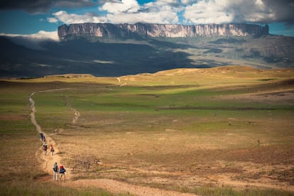 Los tres millones de hectáreas del parque nacional Canaima —también patrimonio mundial— se reparten por territorio de Venezuela, Brasil y Guyana, y están cubiertas, en un 65%, por tepuyes, que son montañas tabulares con características biogeológicas únicas. Los expertos las consideran unas de las formaciones geológicas más antiguas de la Tierra (unos dos mil millones de años). El más alto es el tepuy Roraima, que en su meseta de más de 30 kilómetros cuadrados, a más de 2.800 metros de altitud, marca exactamente la frontera entre los tres países sudamericanos. Solo se puede ascender por el lado venezolano, desde la población de Paraitepuy, a unos 1.200 metros de altitud, con 600 habitantes de la etnia pemón, que se ha convertido en campamento base y punto de partida para los trekking y excursiones rumbo a la cima. <br></br> Más información: inparques.gob.ve