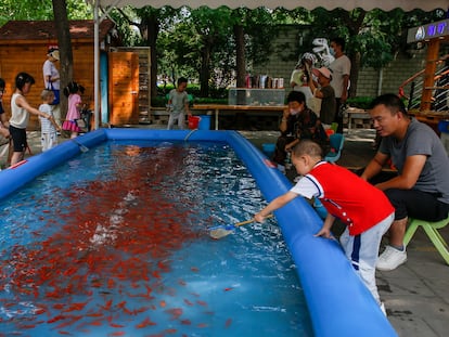 Padres con sus hijos en una piscina para pescar en un parque de Pekín, China, este miércoles.