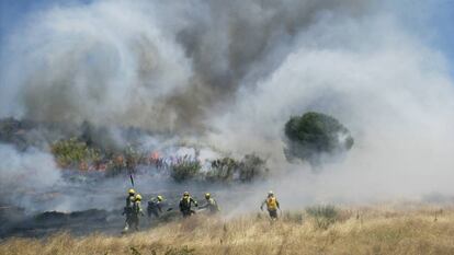 Bomberos de la brigada helitransportada de Valdemorillo, durante la extinción de un incendio en El Álamo en 2012.