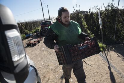 La organización Espigoladors entró en funcionamiento en 2014 con un programa piloto y recuperó 100.000 kilos de productos frescos durante su primer año de intervención gracias al trabajo de alrededor de 60 voluntarios en riesgo de exclusión social. 