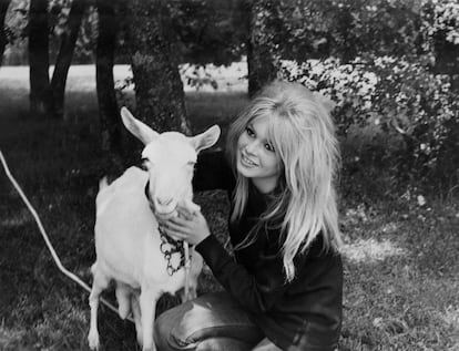 Brigitte Bardot y sus 1.000 animales. Desde que se retiró del cine en 1973, la actriz francesa ha ejercido de activista por los derechos de los animales. En 1983 creó su fundación animalista, que tiene tres centros de rescate en Francia, donde alberga a más de 6.000 especies rescatadas de la caza, pesca, ganadería industrial y experimentación. La actriz vive en su finca La Madrague de la Costa Azul francesa rodeada de unos 1.000 animales entre los que hay perros, gatos, gallinas, cabras, burros y ovejas.