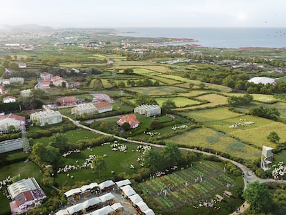 La campiña litoral es un lugar clave para el futuro de Santander: el proyecto plantea convertirla en una mezcla equilibrada de bosque y agricultura que conectará los núcleos rurales desde la ciudad hasta el mar.