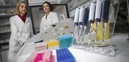 Luisa María Botella (izquierda), en su laboratorio del CSIC en Madrid.