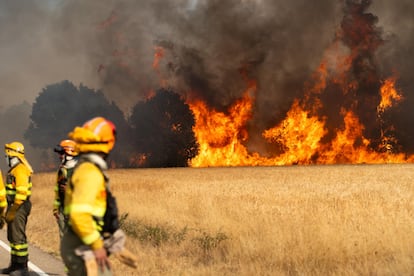 Varios bomberos intentan frenar el fuego en las inmediaciones de Molezuelas de la Carballeda, Zamora.
