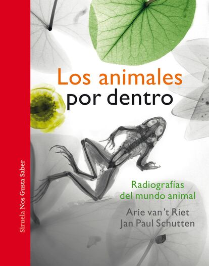 Los animales