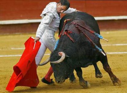 David Esteve pasa de muleta al toro de su alternativa.