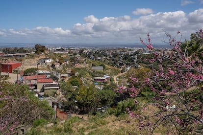 La vista desde la subcuenca de Los Laureles.