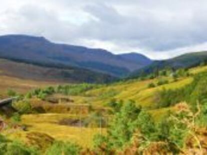 El tren Belmond Royal Scotsman recorre los mejores campos de golf de Escocia