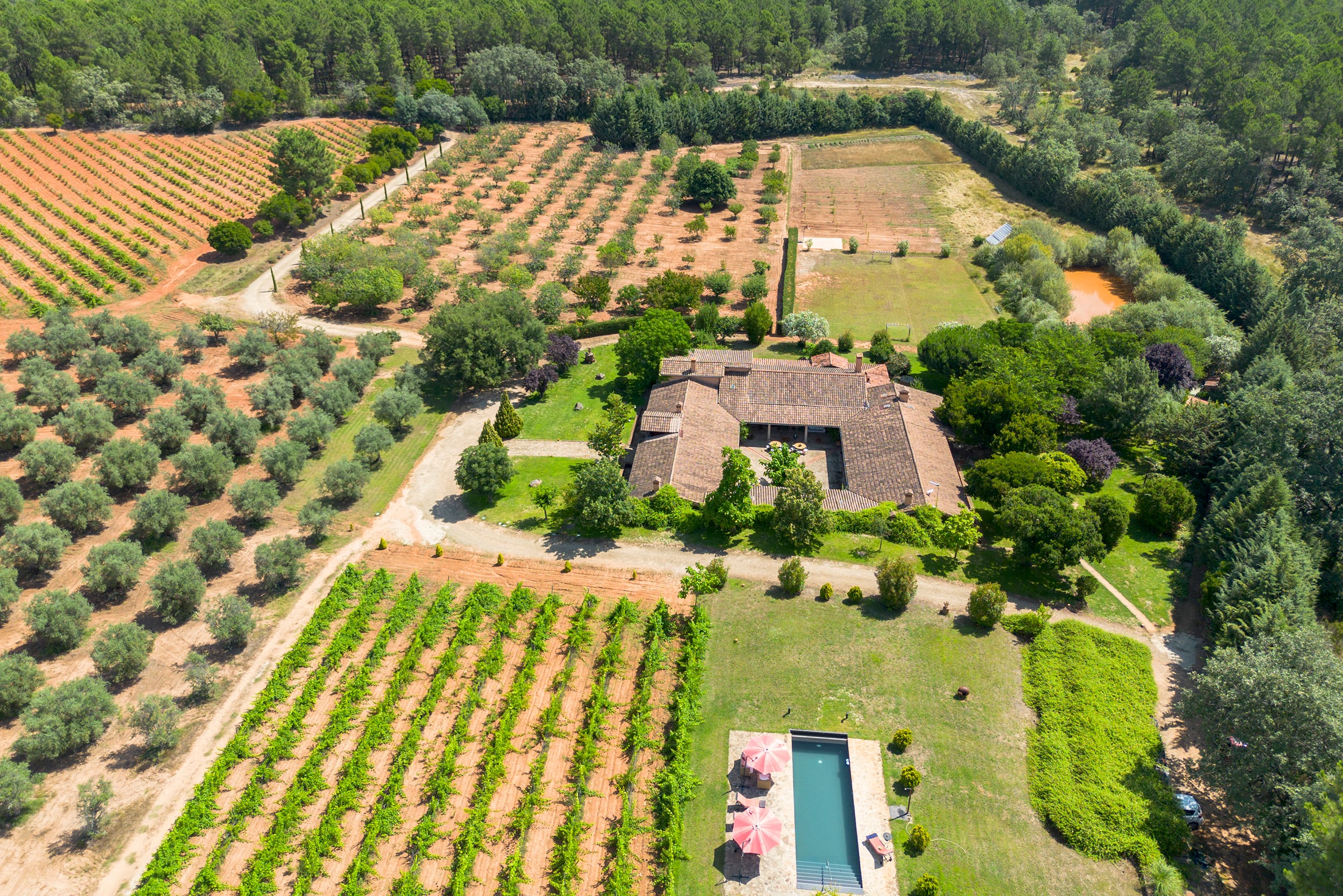 Finca en la comarca de La Vera.