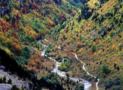 Otoño en el Parque Nacional de Ordesa