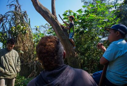 Crianças e adolescentes guaranis que vivem na região do Jaraguá, zona norte de São Paulo.