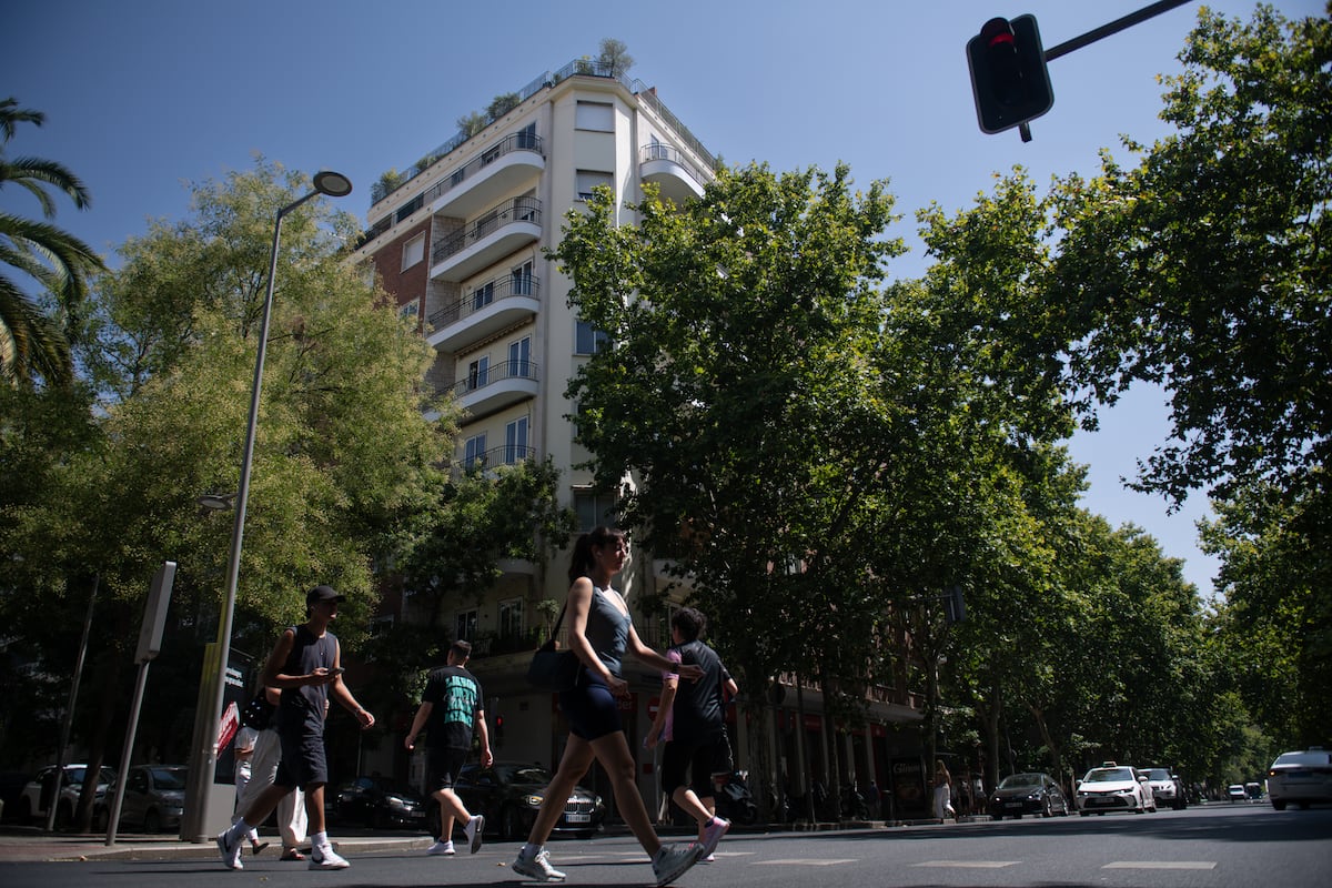 elpais.com