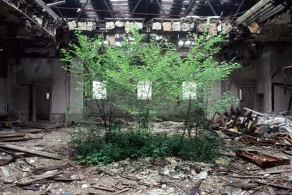 Entre los escombros del interior de la biblioteca pública de Camden se ha abierto paso la naturaleza. Esta foto, una de las más conocidas de Vergara, ha provocado que la ciudad no derribe el edificio, según el fotógrafo.